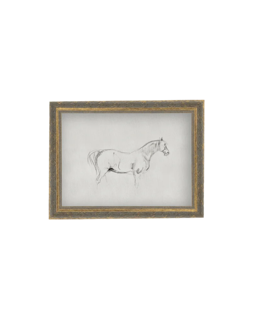 Petal Lane, Horse Sketch