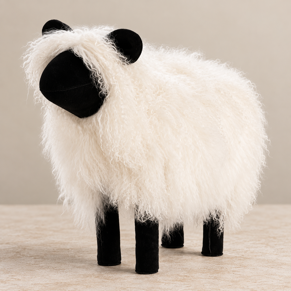 Tibetan Lamb Sheep