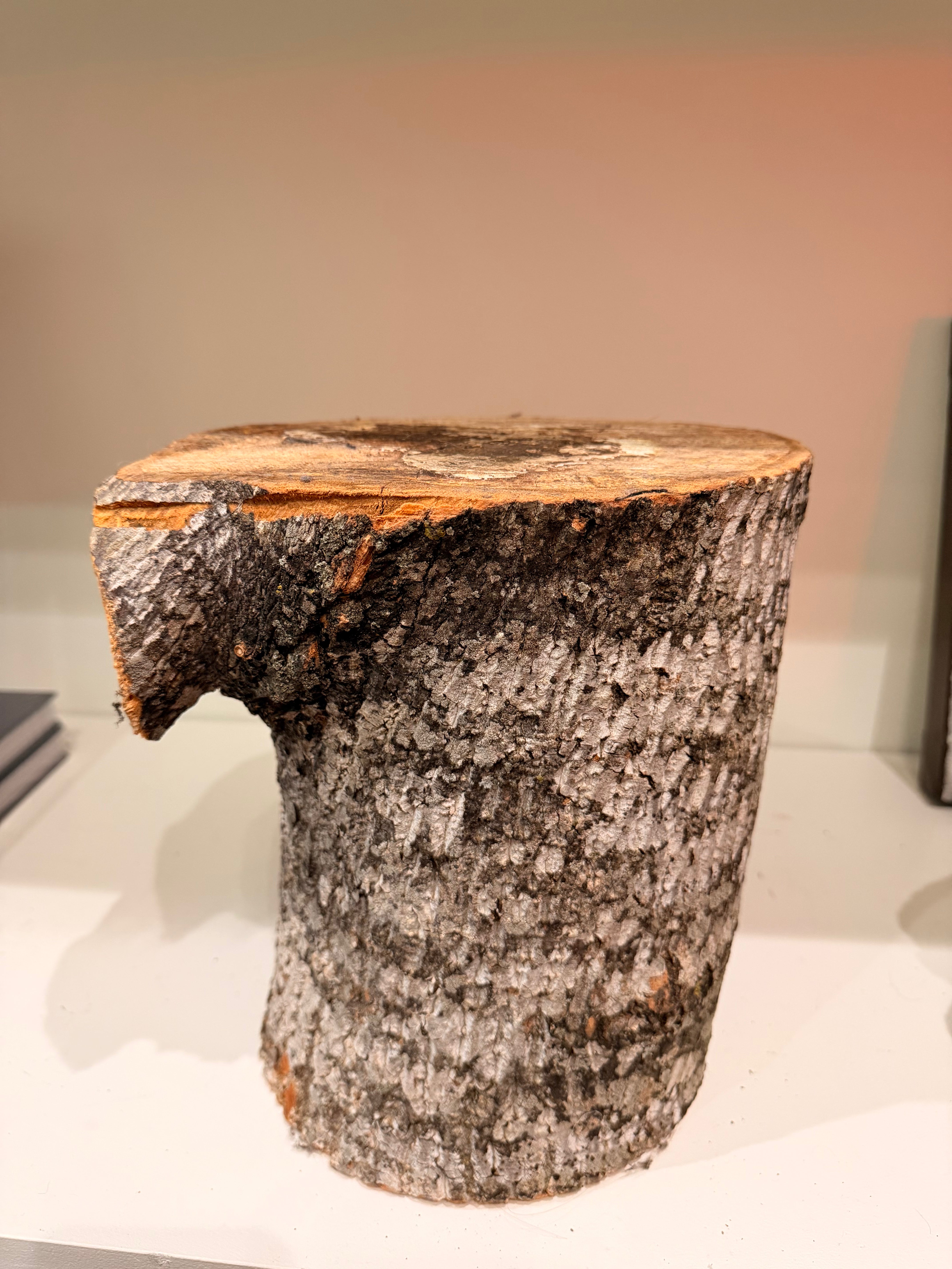 SR, Decor Logs