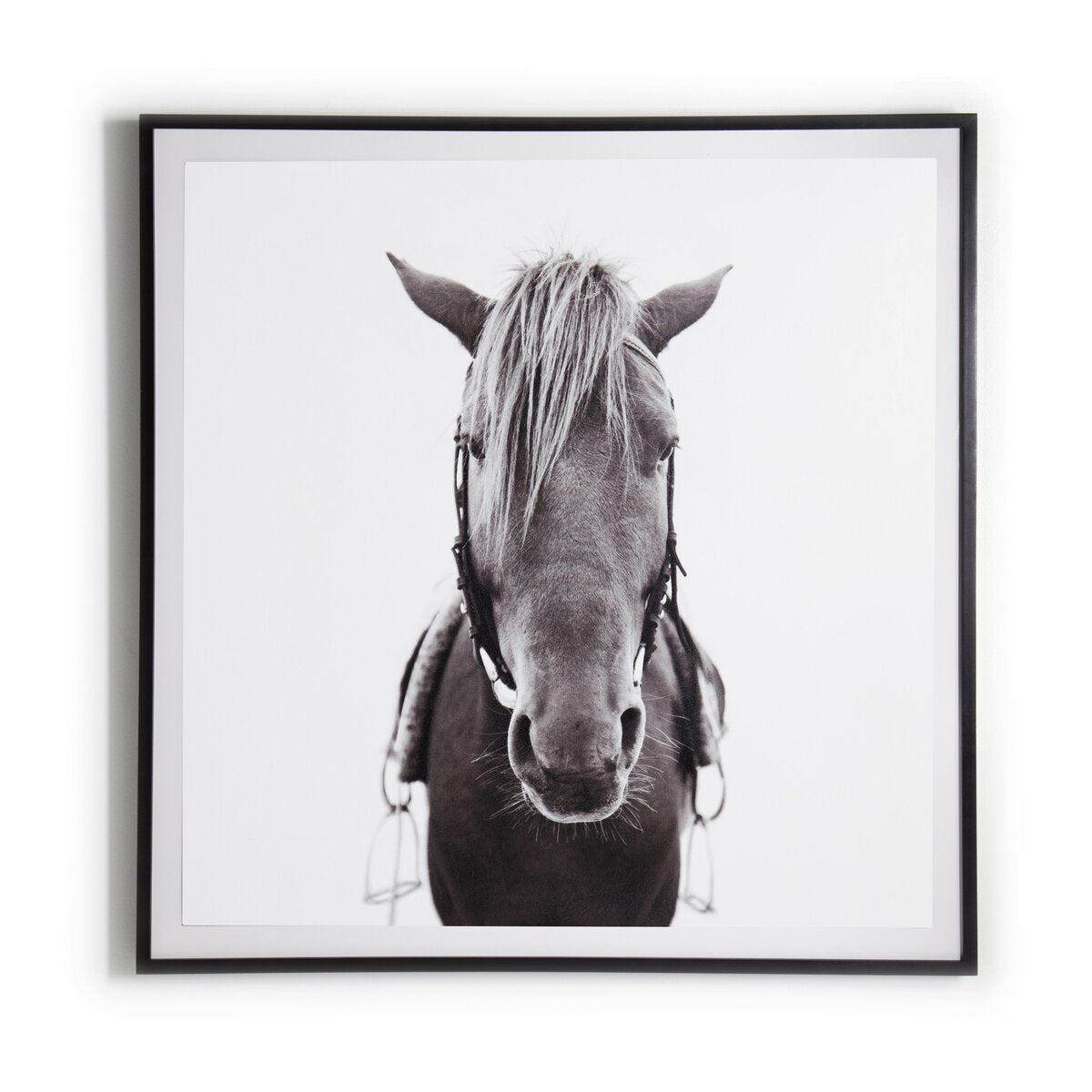 Four Hands, The Horse