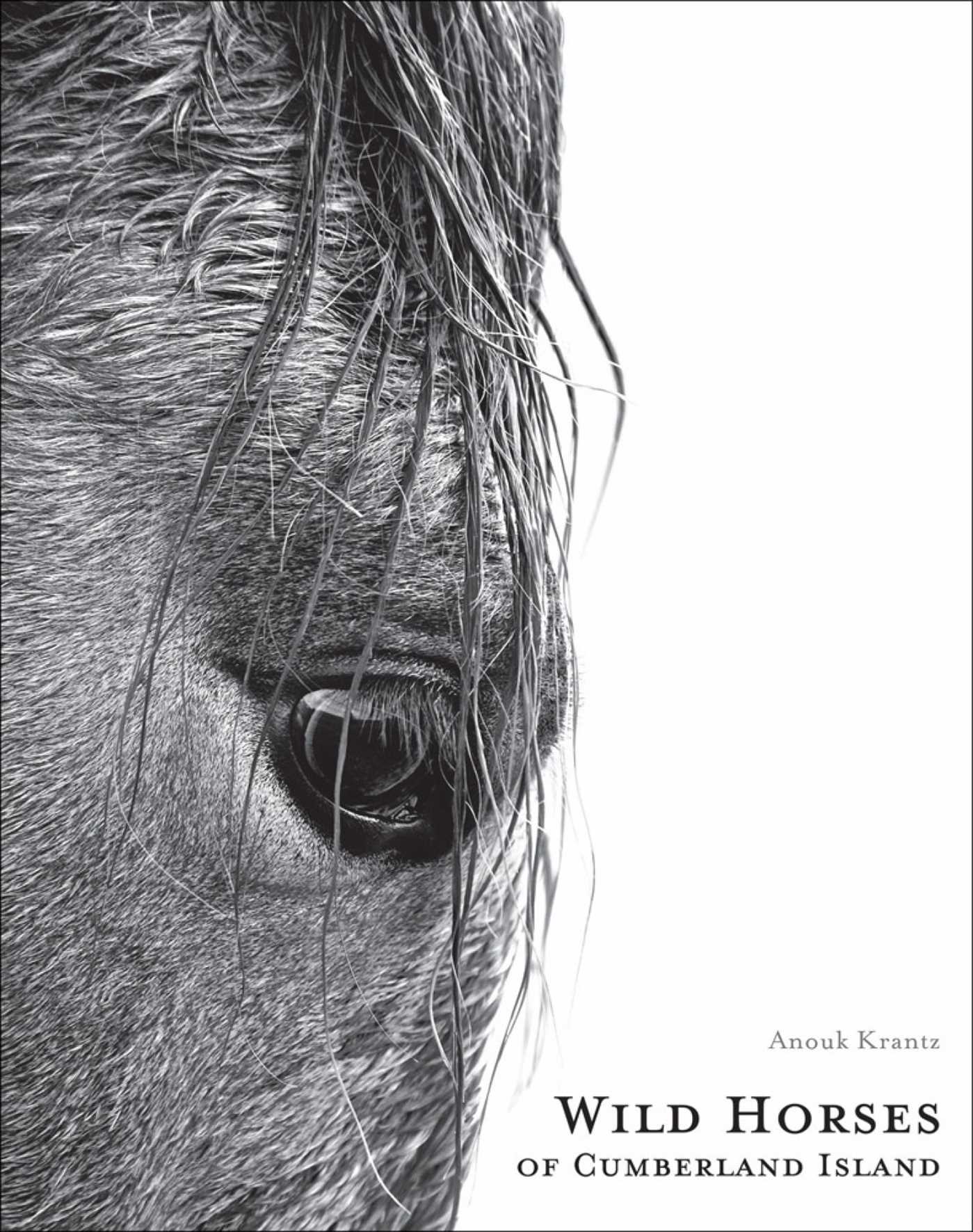 Wild Horses of Cumberland Island, Coffee Table Book