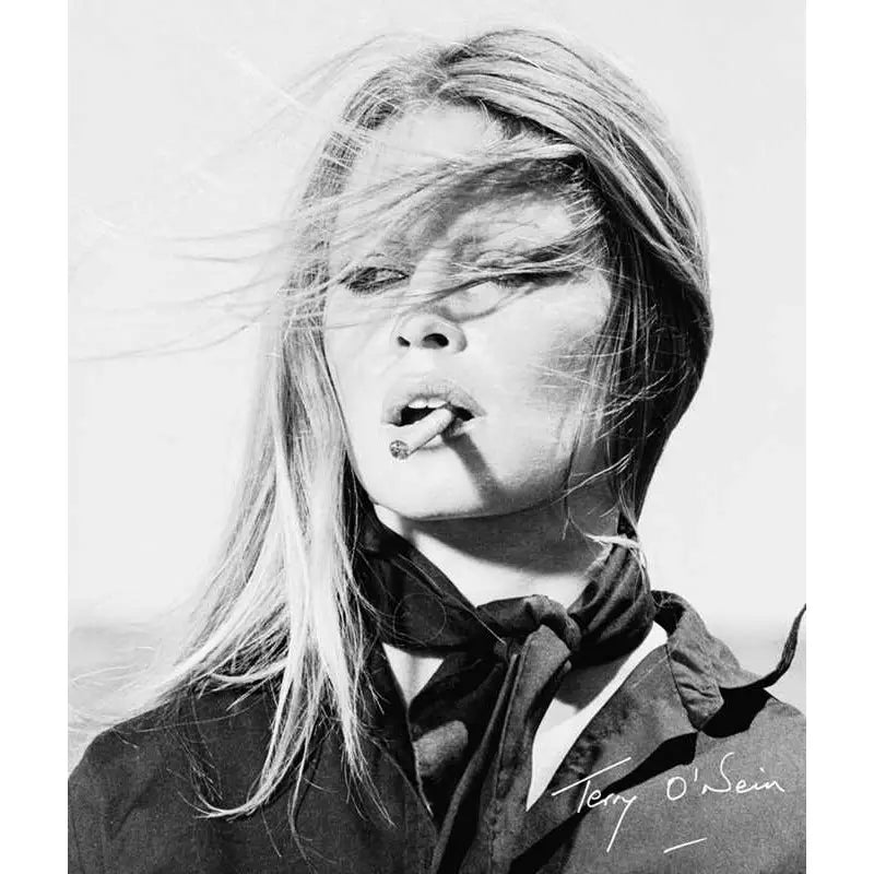 Simon + Schuster, Terry O'Neill