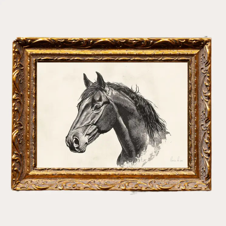 Luxe B Co., Stallion Sketch