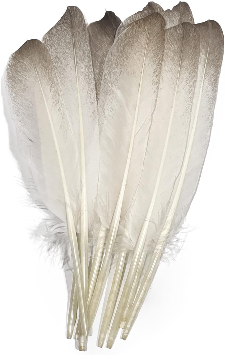 Feather No. 2