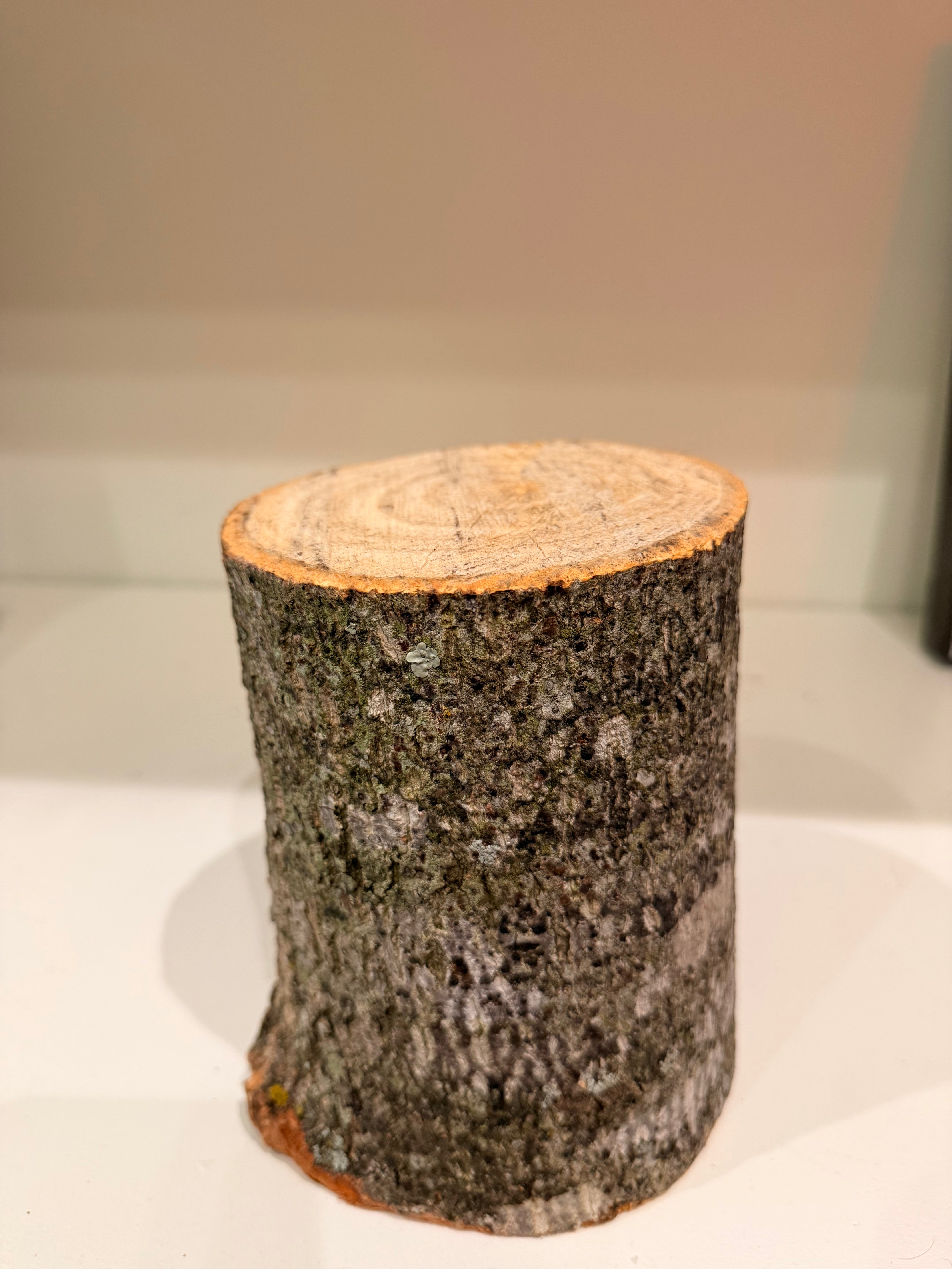 SR, Decor Logs