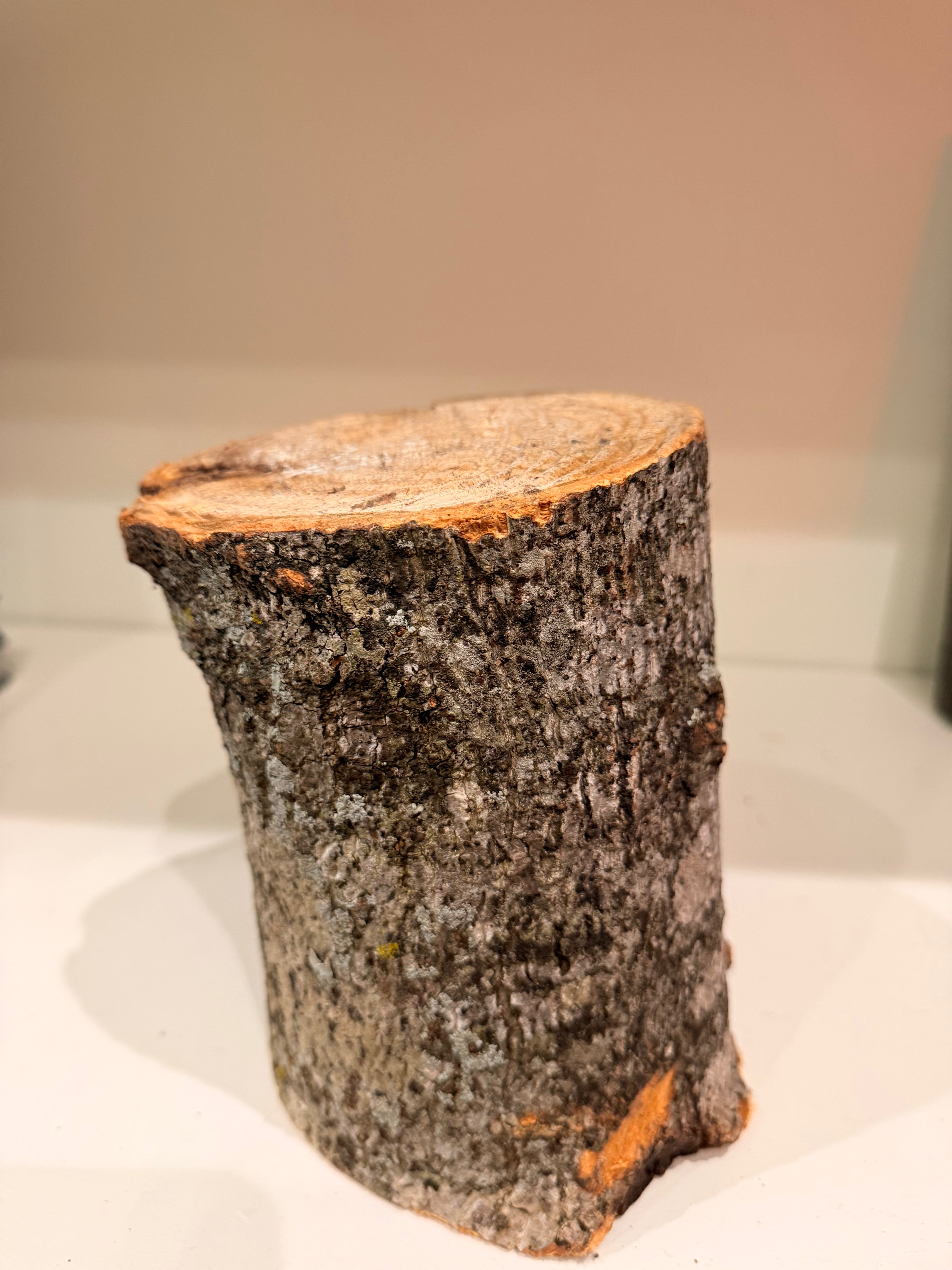 SR, Decor Logs