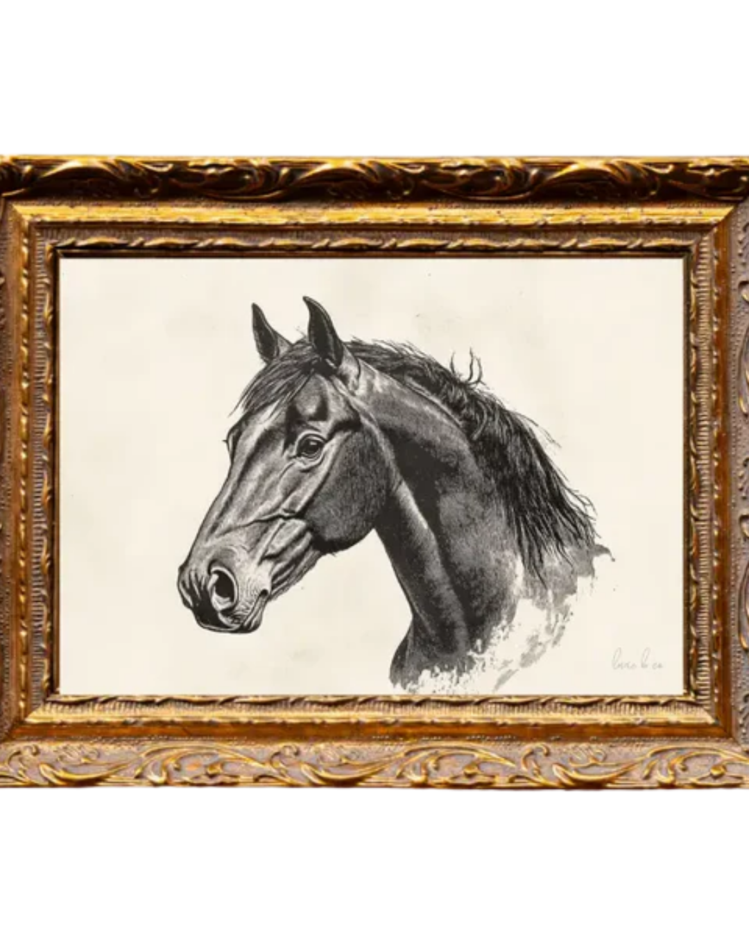 Luxe B Co., Stallion Sketch