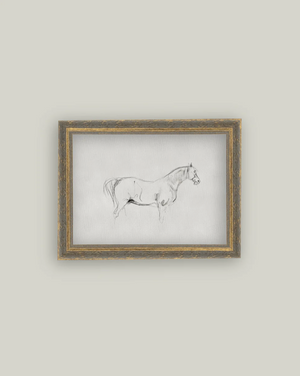 Petal Lane, Horse Sketch
