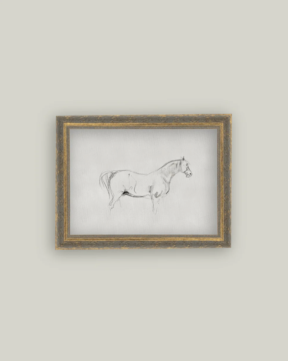 Petal Lane, Horse Sketch