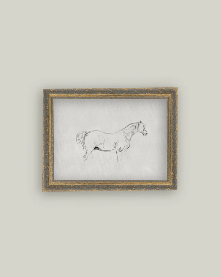 Petal Lane, Horse Sketch