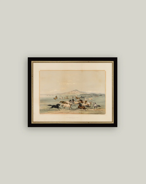 Petal Lane Home, Field of Horses