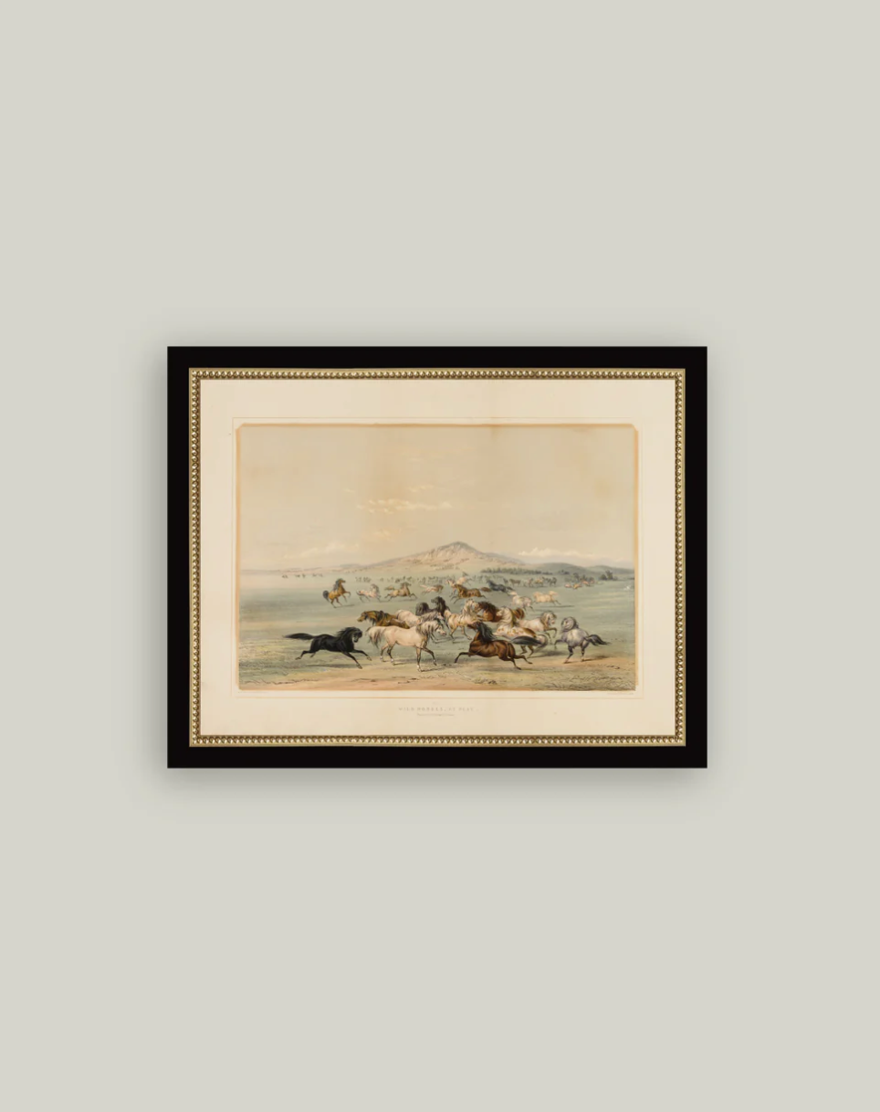 Petal Lane Home, Field of Horses