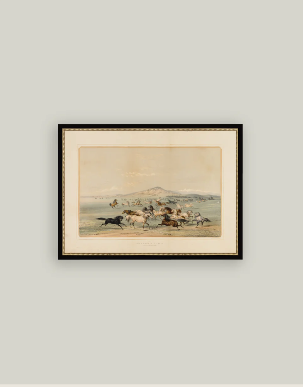 Petal Lane Home, Field of Horses