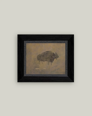 Petal Lane Home, Buffalo in a Sandstorm