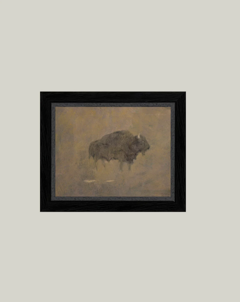 Petal Lane Home, Buffalo in a Sandstorm