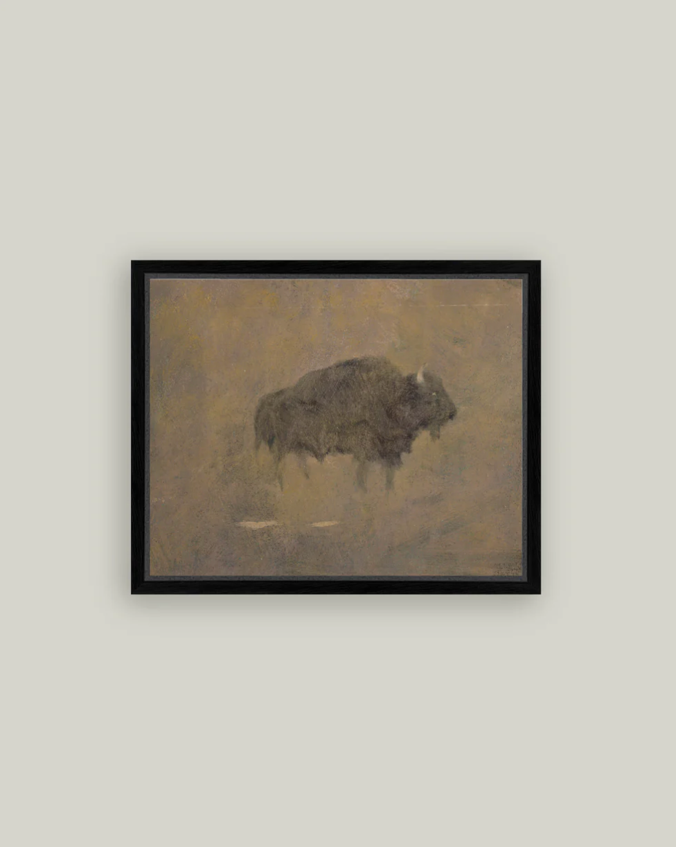 Petal Lane Home, Buffalo in a Sandstorm