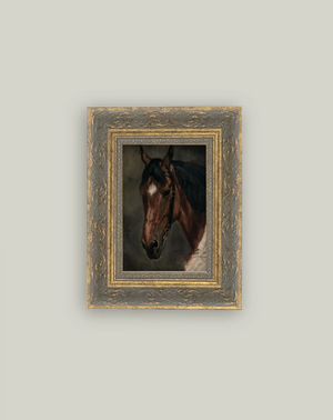 Petal Lane, Horse Portrait