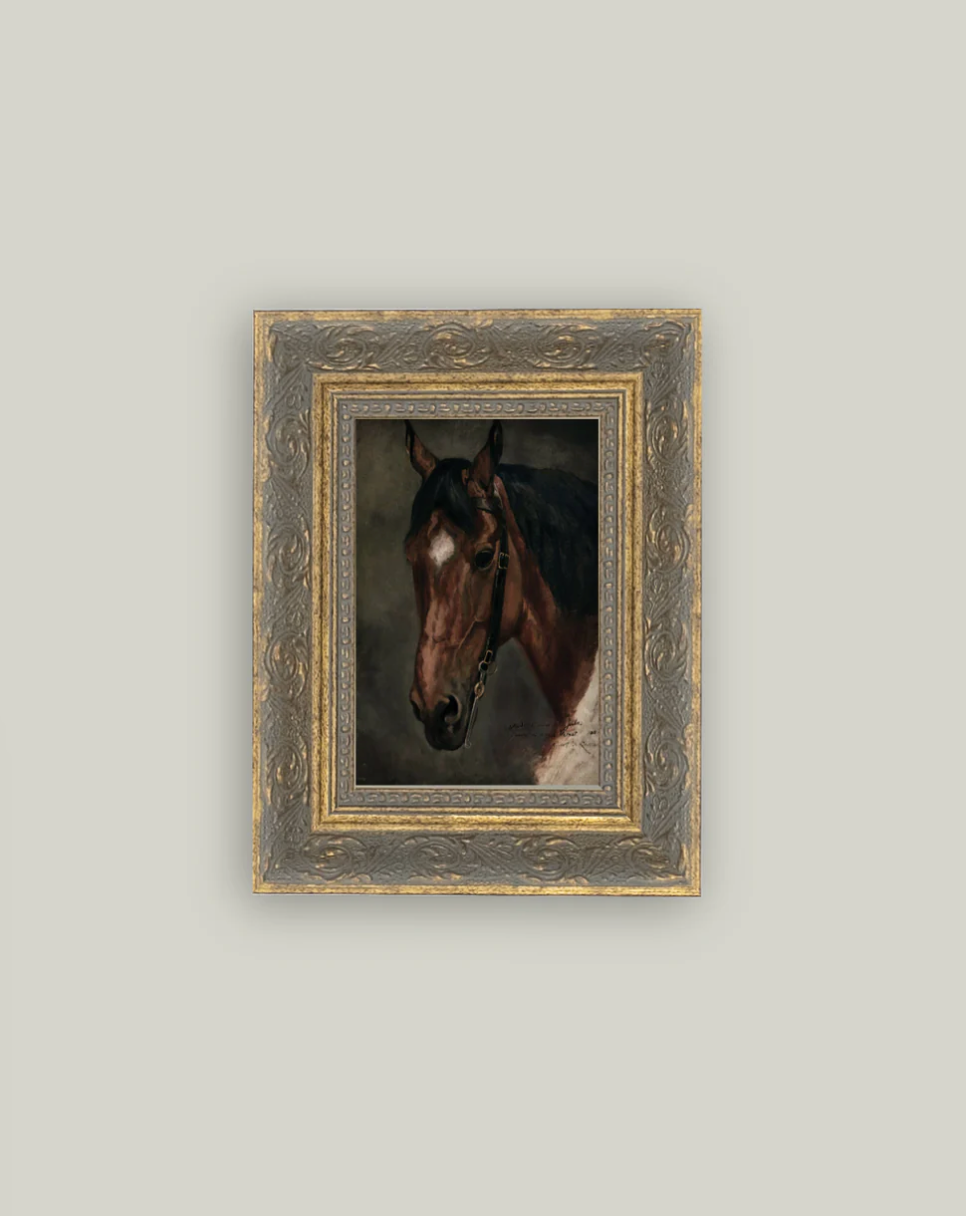 Petal Lane, Horse Portrait