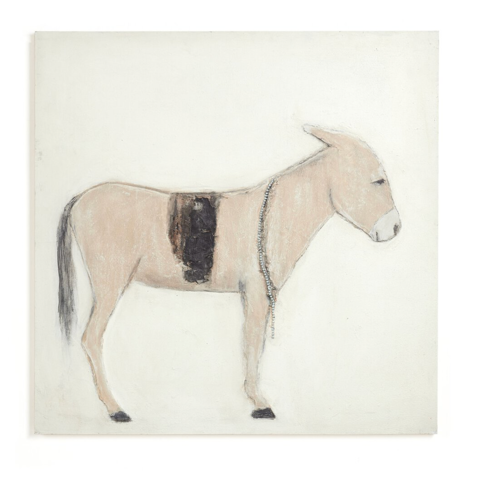 P. Meyer, Burro Dia