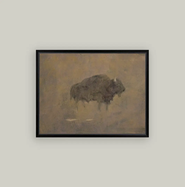 Petal Lane Home, Buffalo in a Sandstorm