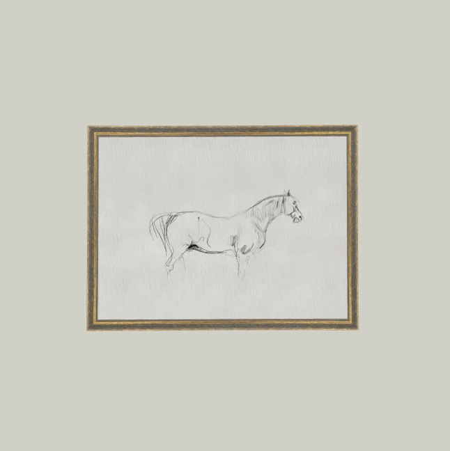 Petal Lane, Horse Sketch