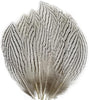 Feather No. 1