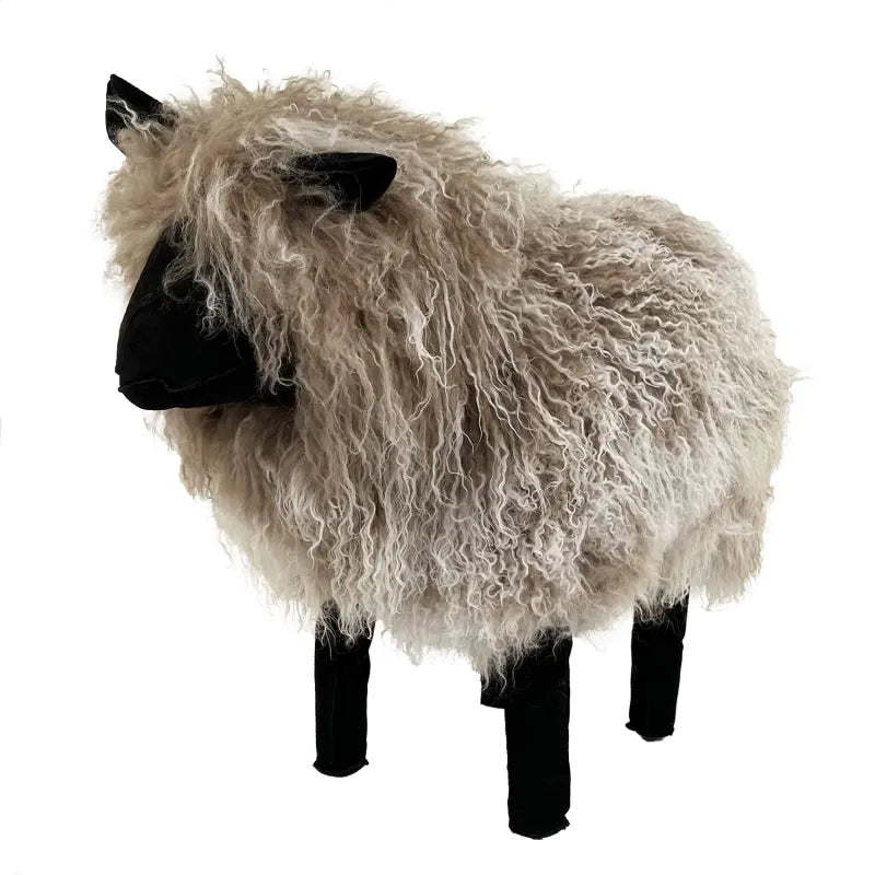 Tibetan Lamb Sheep