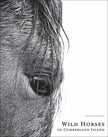 Wild Horses of Cumberland Island, Coffee Table Book