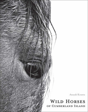 Wild Horses of Cumberland Island, Coffee Table Book