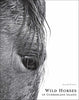 Wild Horses of Cumberland Island, Coffee Table Book