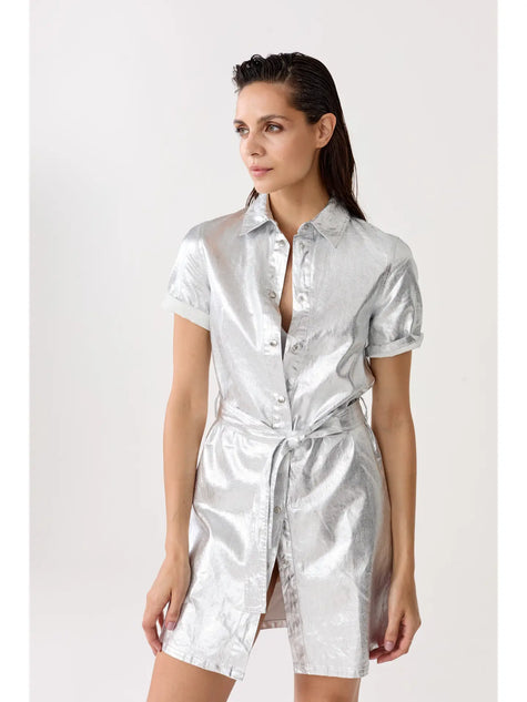 Franca Dress, Silver