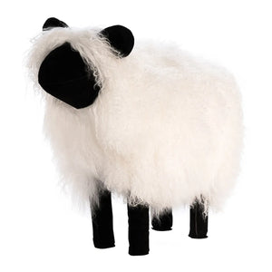 Tibetan Lamb Sheep